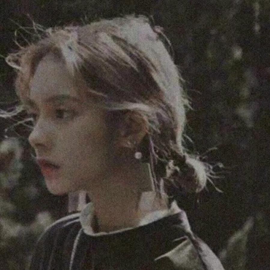 乔木🌸