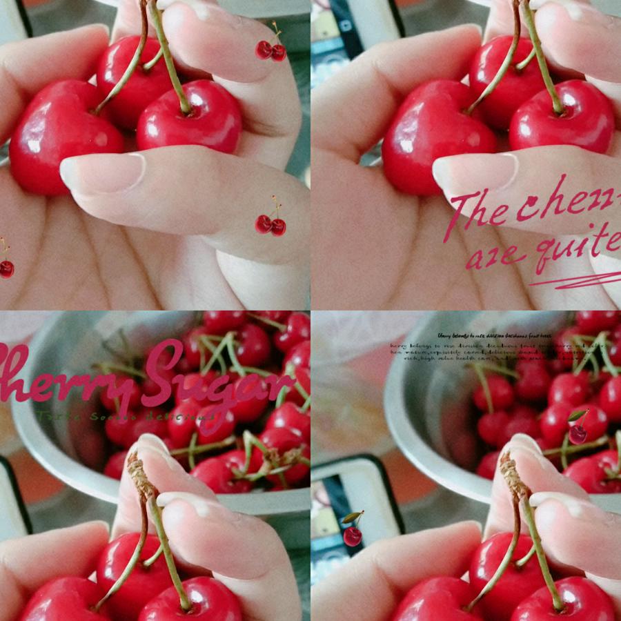 慧