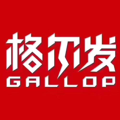 新疆领创疆途格尔发