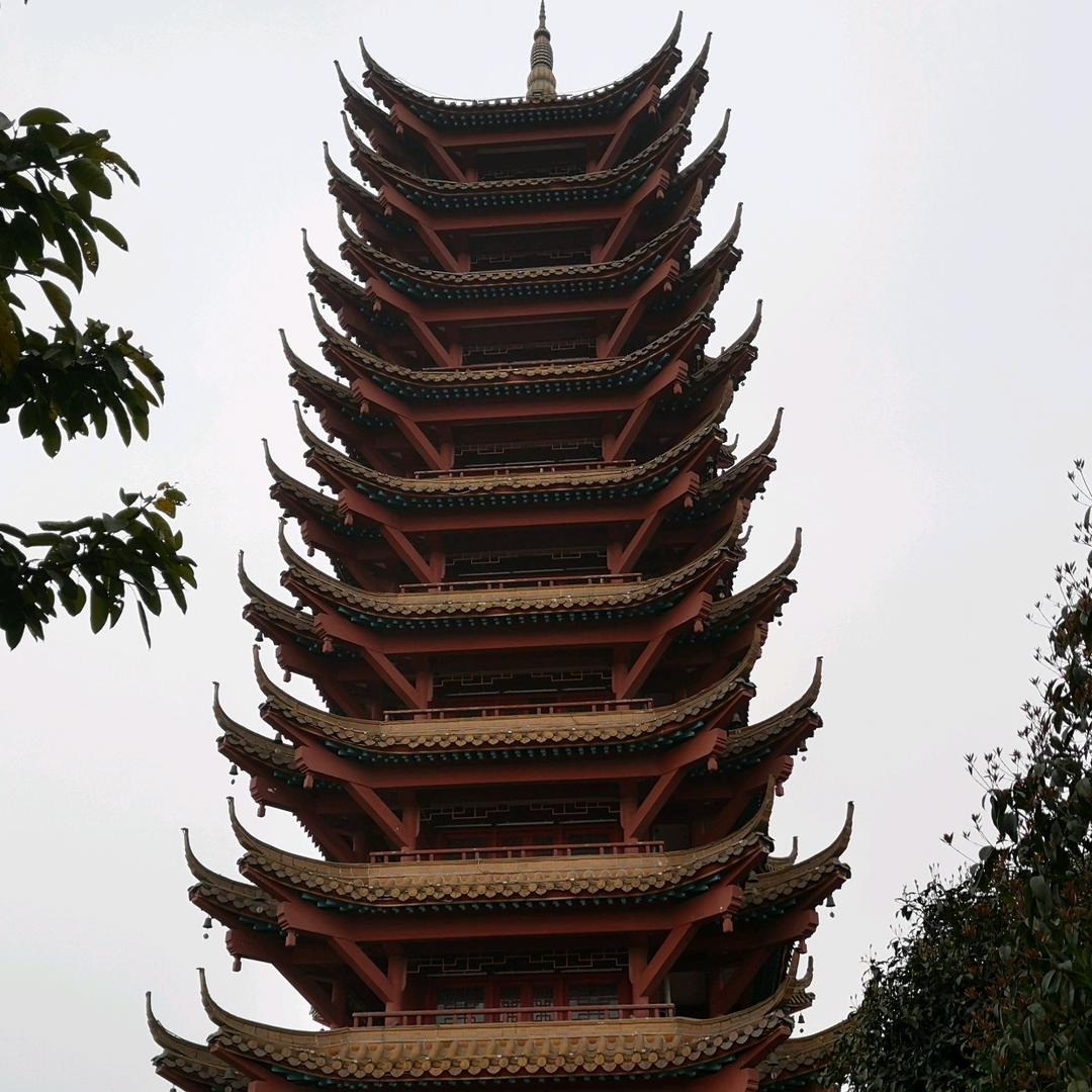 帅气的爸爸