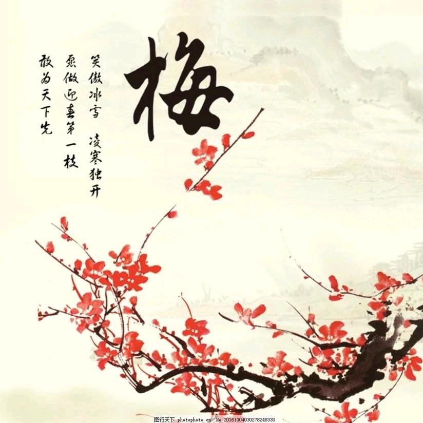 梅花