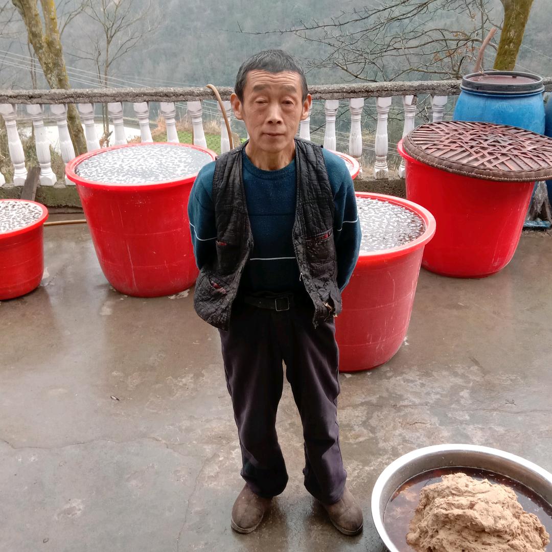 向协进