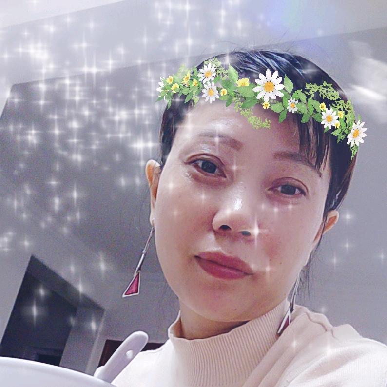 一枝梅
