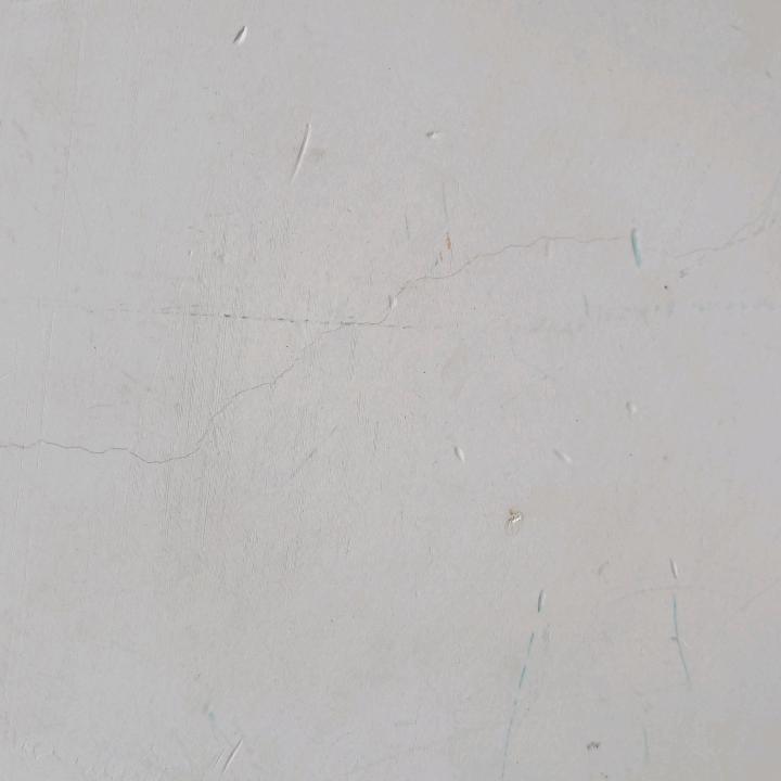 大到之行