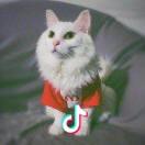 云吞