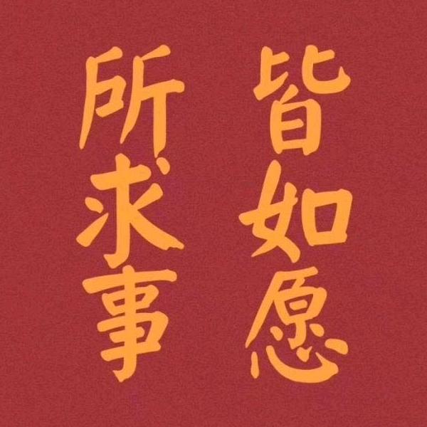 肥兔子🐰