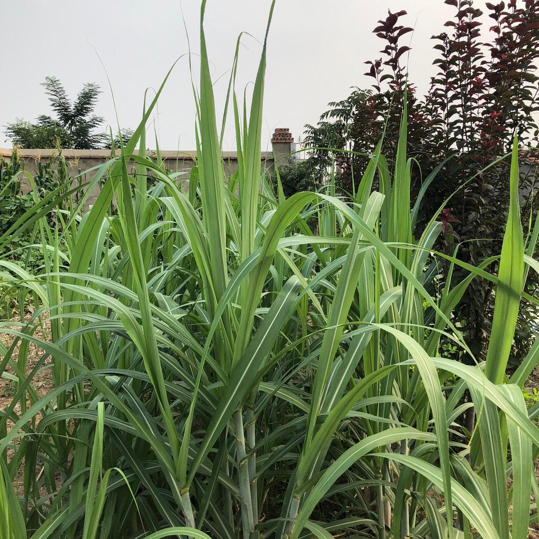 宋敏，余生真贵……