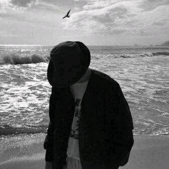 付庄老鸭老鹅鸳鸯