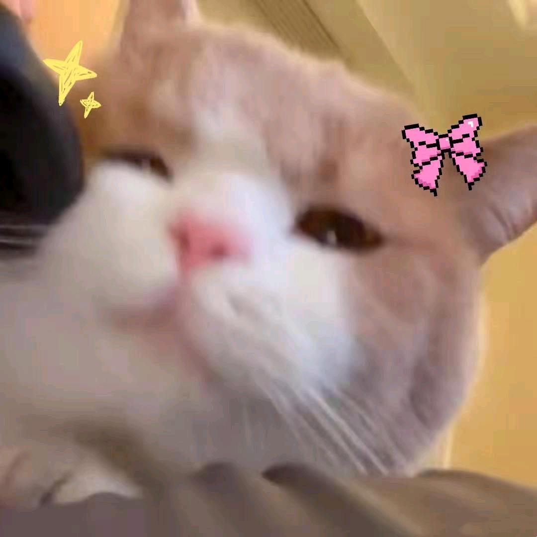 小xu椰奶杯（断更