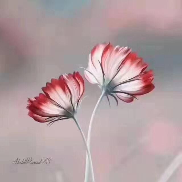 盛夏