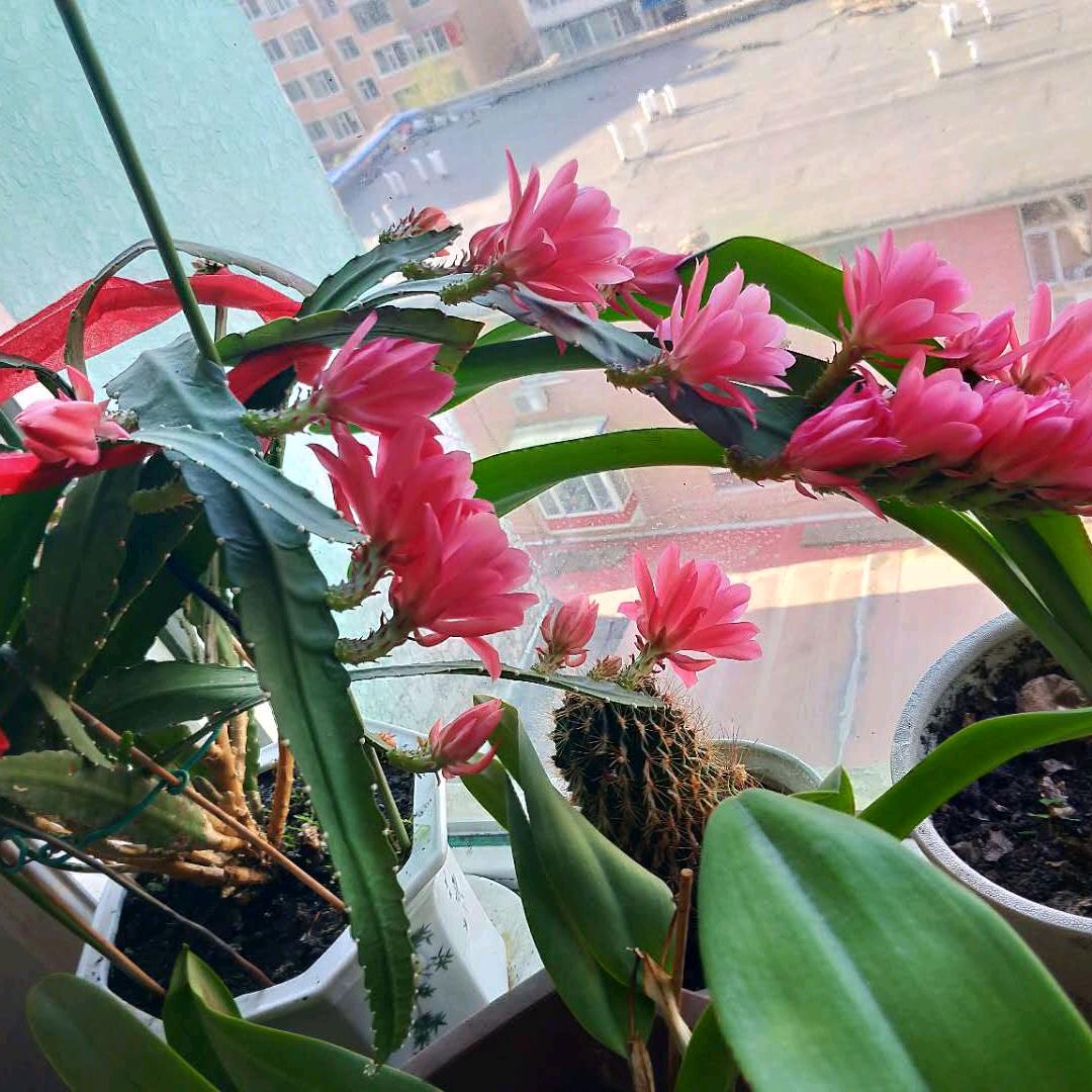 高sn越来越好
