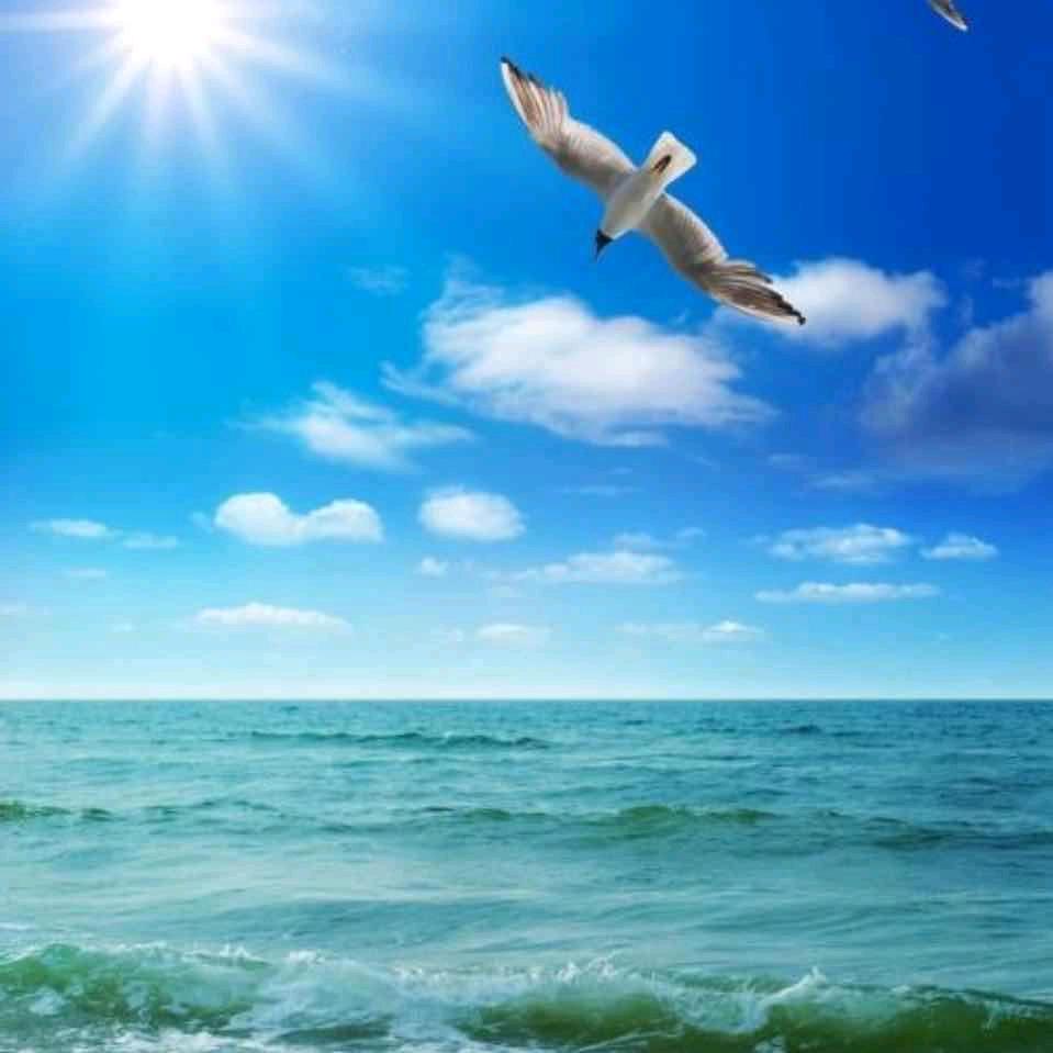 海翔