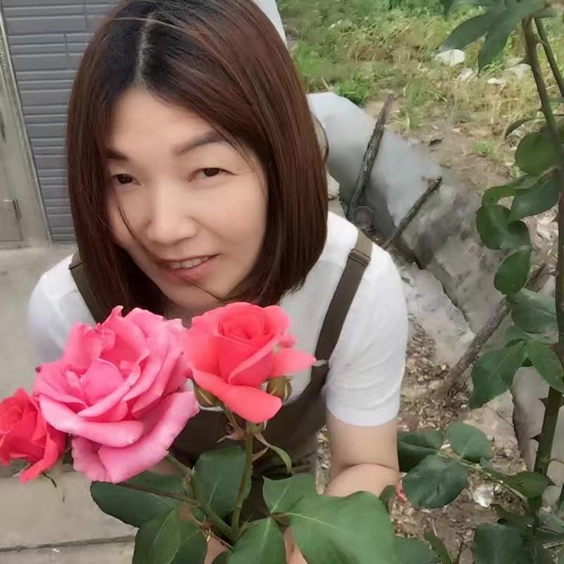 💐🌸雪🍃🍁