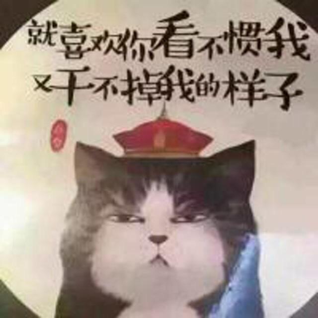 Ms 乐亿悠