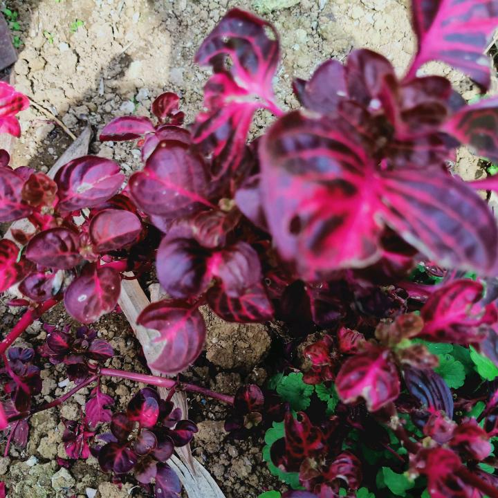 一无所有，从零做起