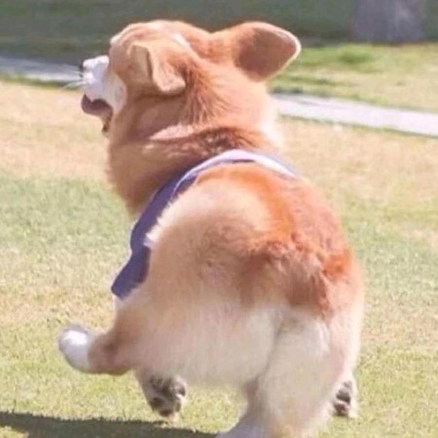 黄豆豆啊