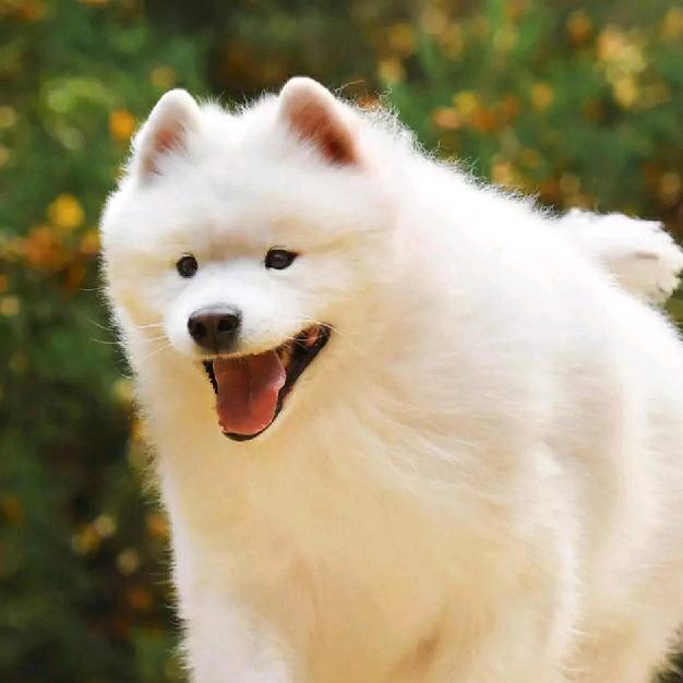 寒斌