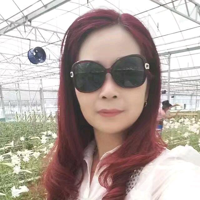 凤姐