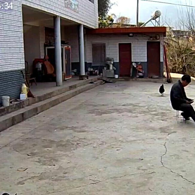 就为今生