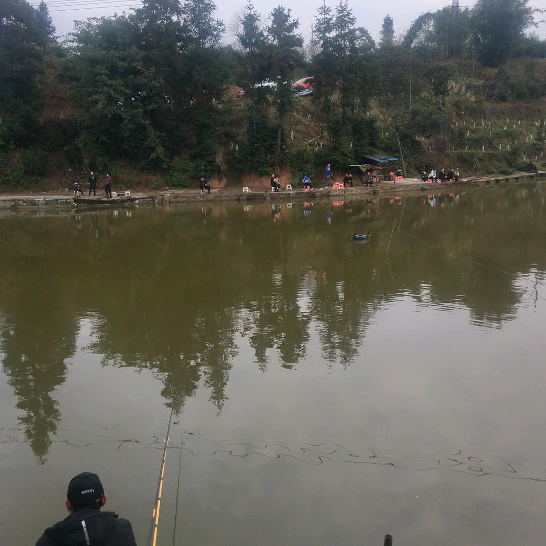 大石包金果林农家乐欢迎您！