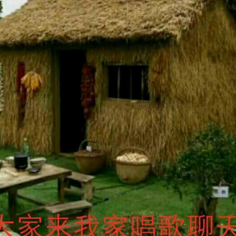 徐大爷
