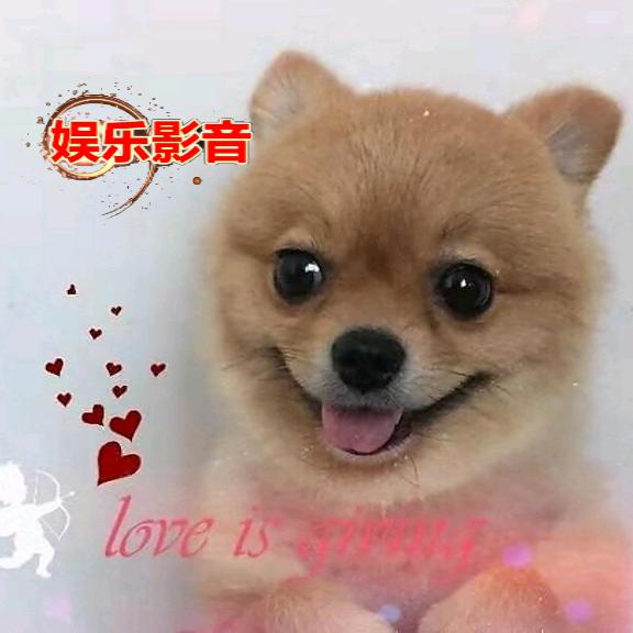 纯为娱乐⁵⁸⁵⁸