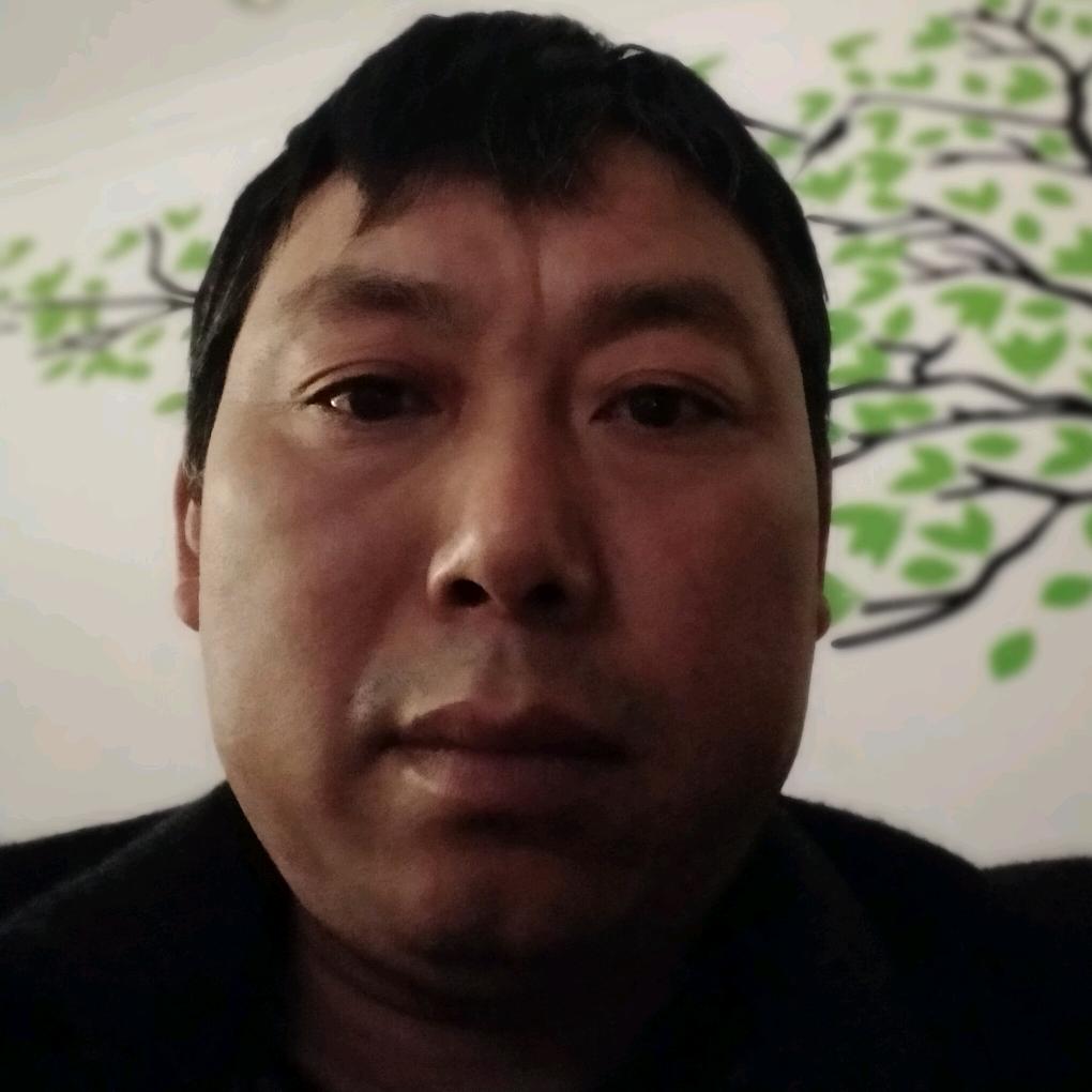 杨氏维修