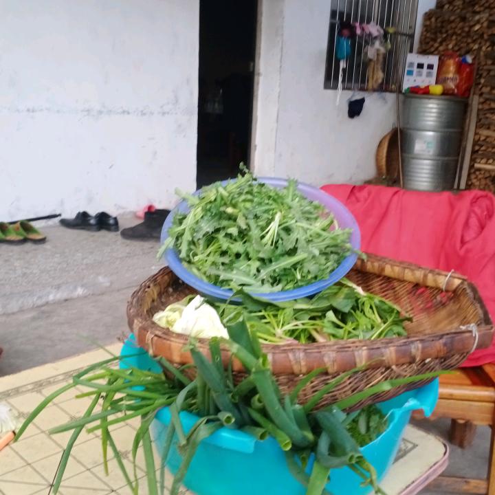彭