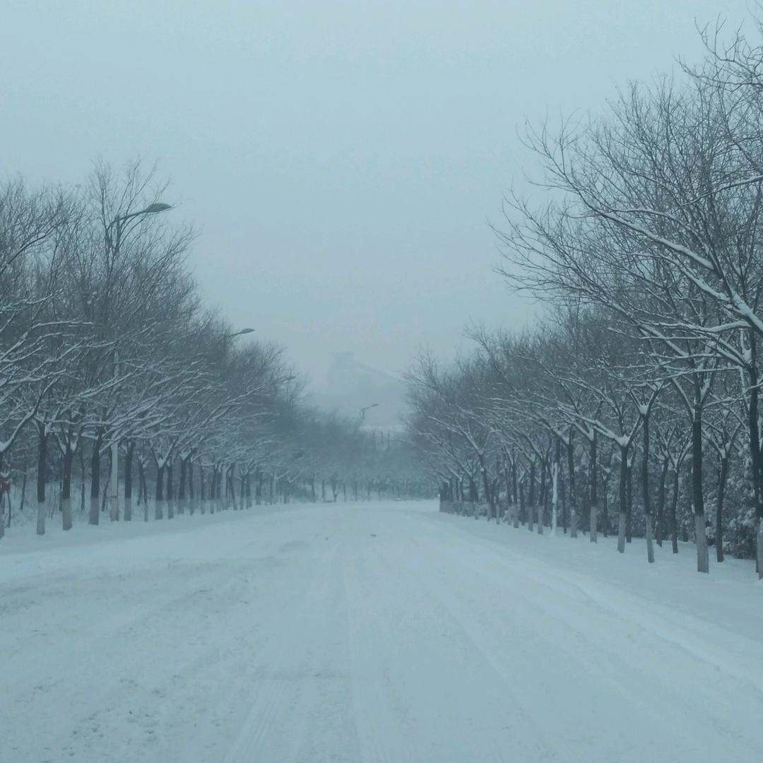 随缘造型官方号