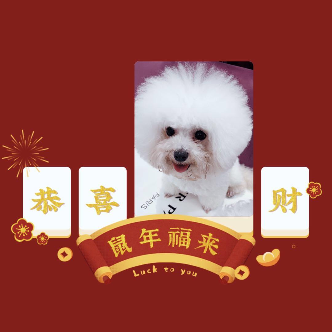 笑兮兮
