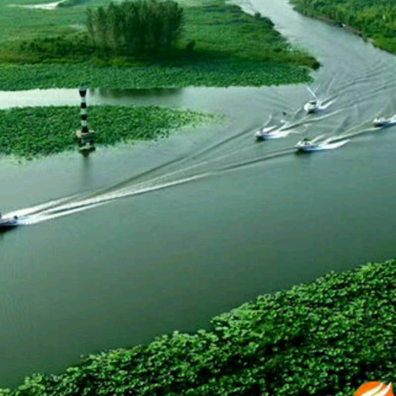 红荷岸边，老来乐