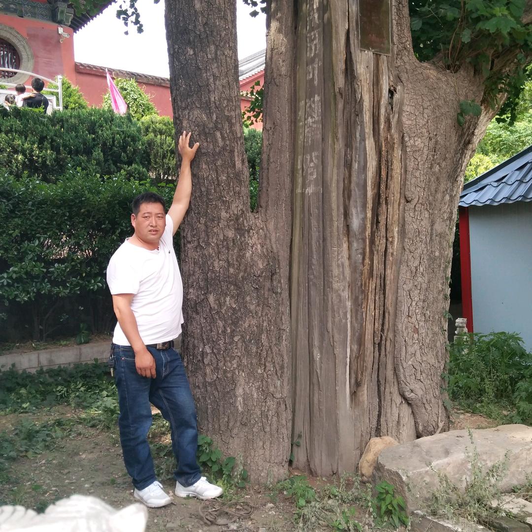 往事如风，一切随缘