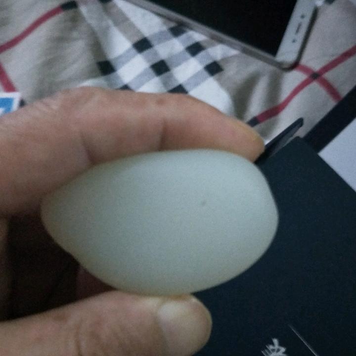 用户3898795993334单身一辈子
