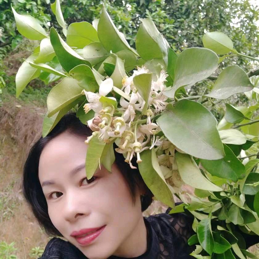 火火的姑娘