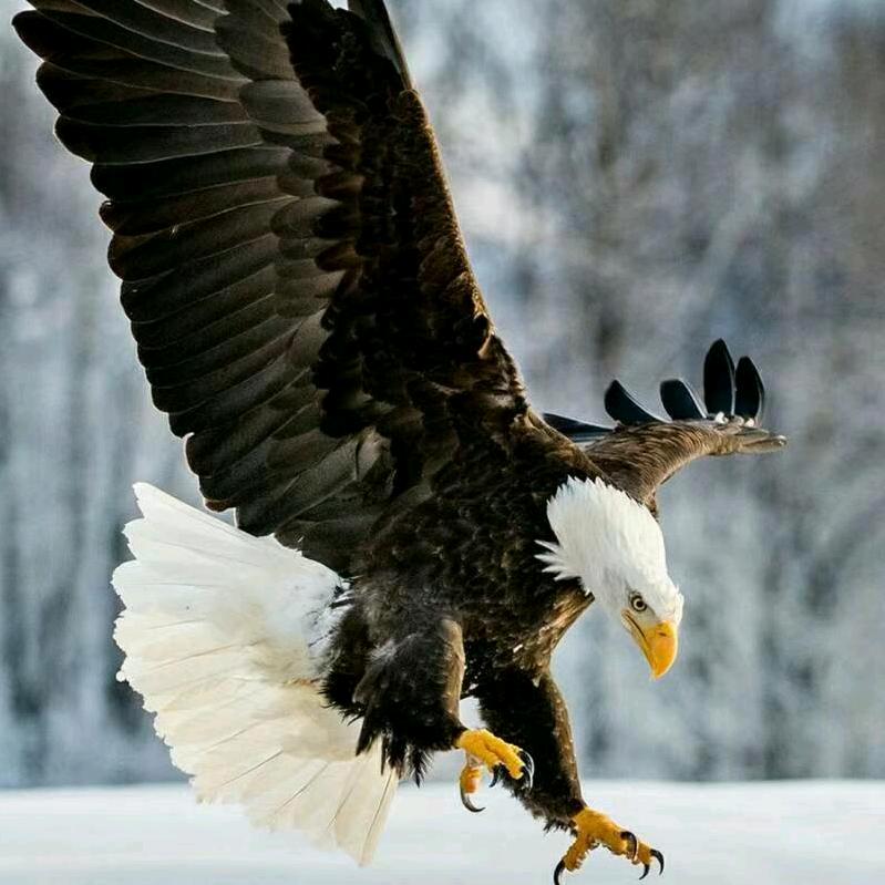 🚬ᐝ᭄ 謝先生ཻ࿐