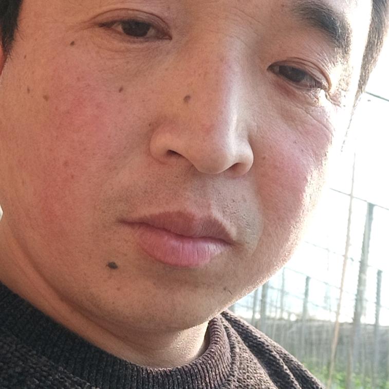 范哥拆除