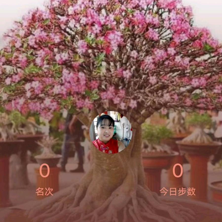 孝满姐