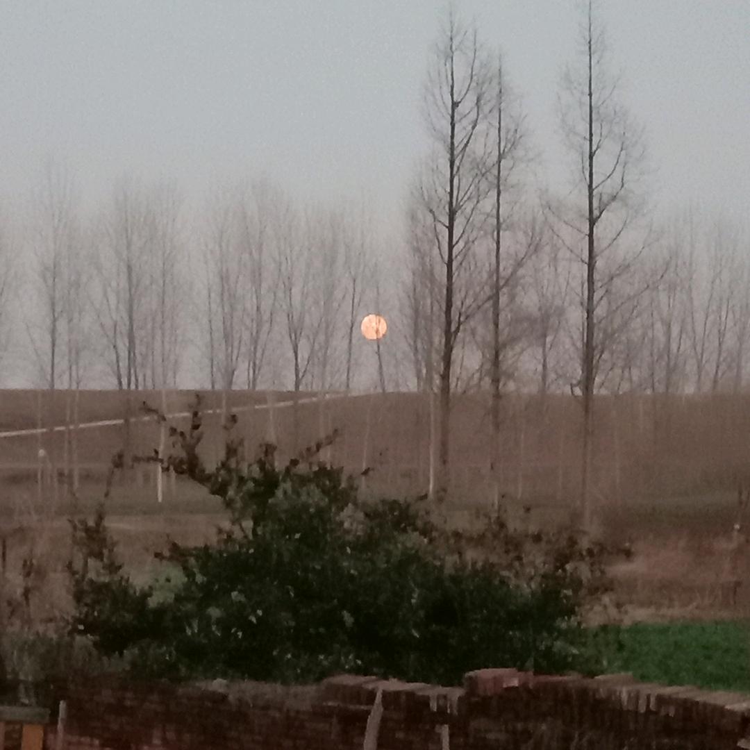 青青