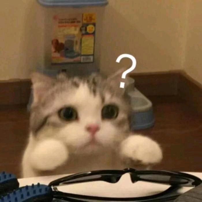 大树底下