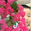 代平