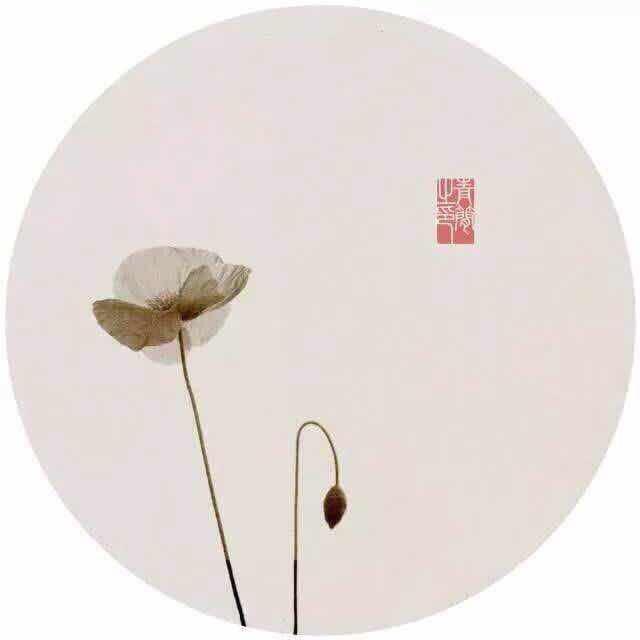 古韵筝鸣