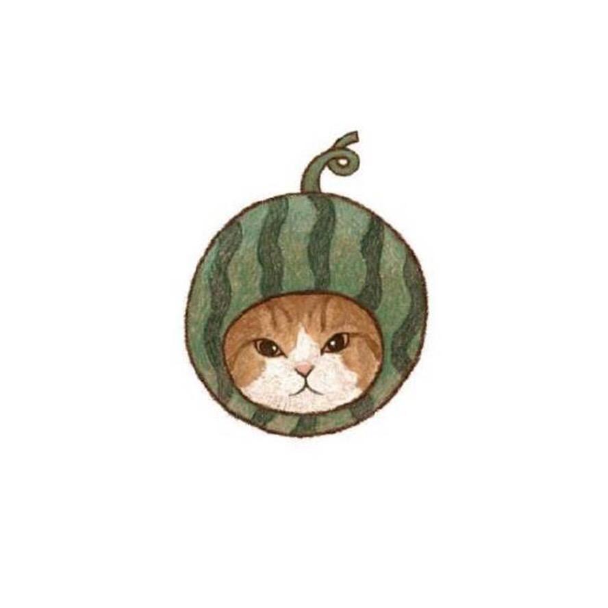 猫很忙 常熟世茂