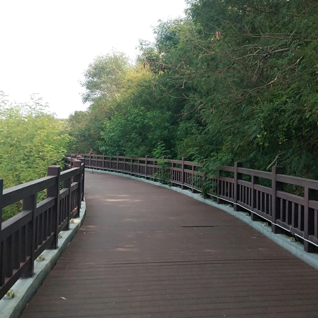 ♿️ 人之初，性本善！