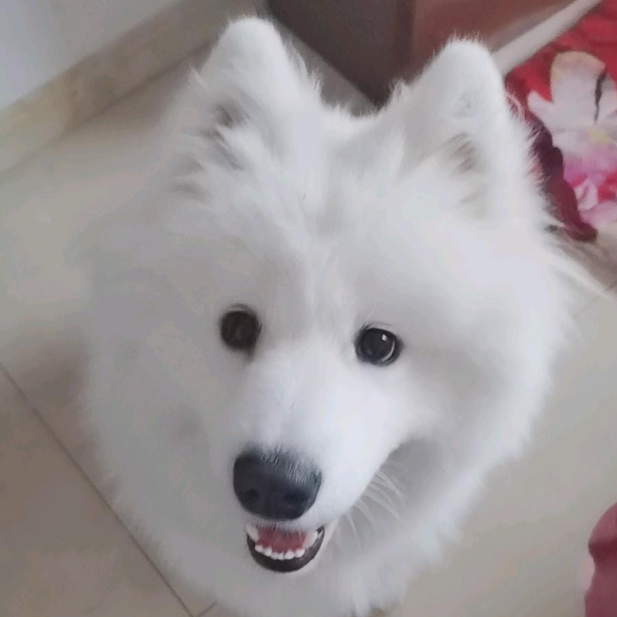 品牌女装批发￡RebiITh“”