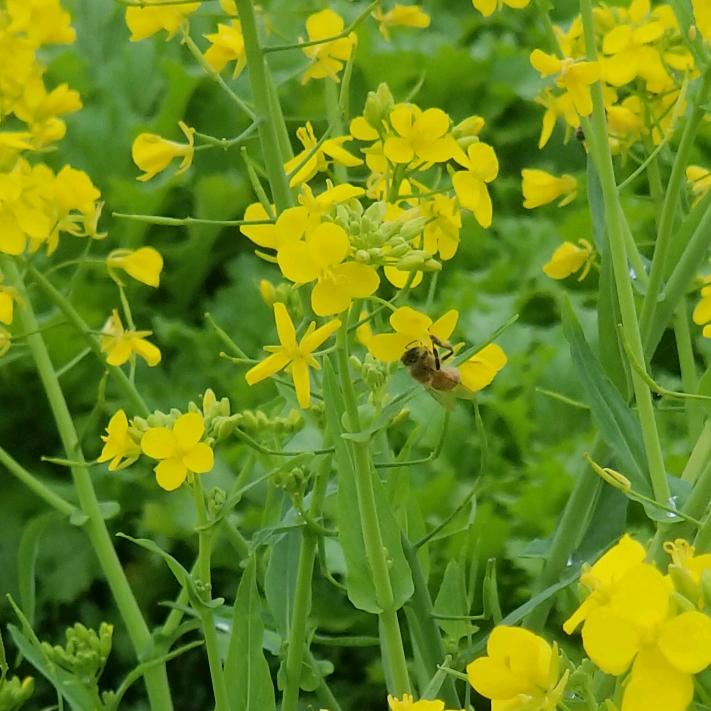 你的幸福我快乐