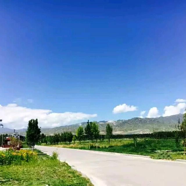 难得糊涂