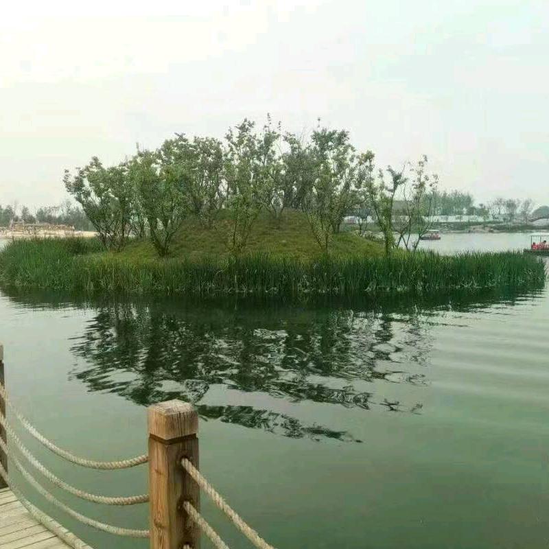 🌸🌸🌸🌸🐋🐋🐋🐋🐋🐋