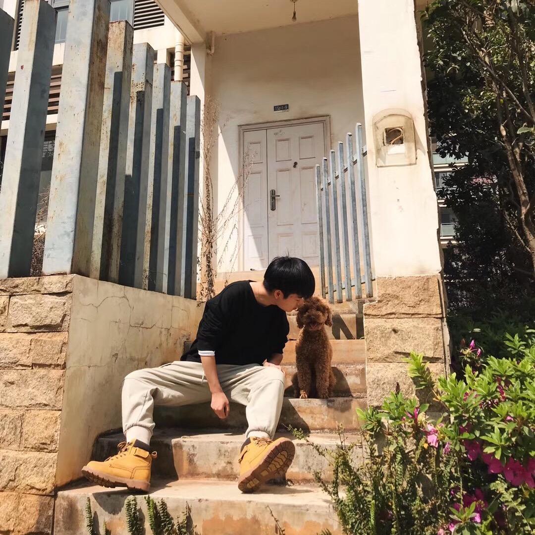 大锅的汪诶～（软装中）