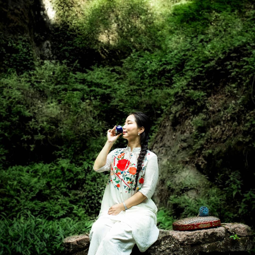 武夷山茶洞古茶林