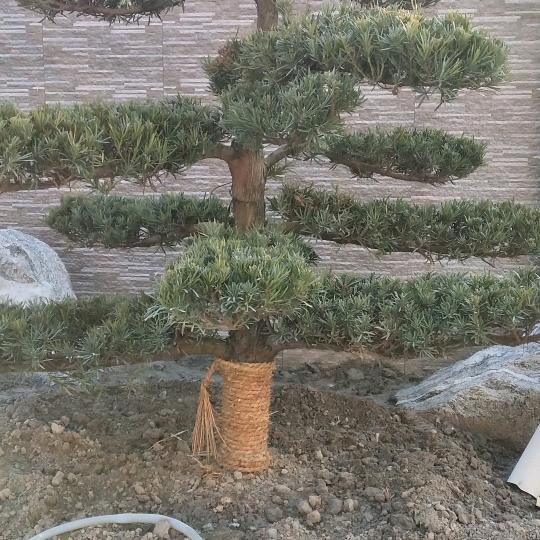 用户7925778837434冬暖夏凉